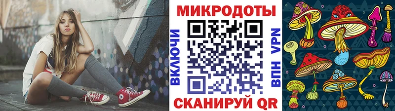 Псилоцибиновые грибы мицелий закладка Алапаевск