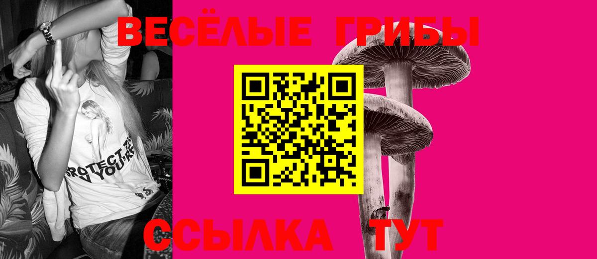 наркошоп  Псилоцибиновые грибы Psilocybe  Алапаевск  Вход с VPN  Галлюциногенные грибы мицелий 